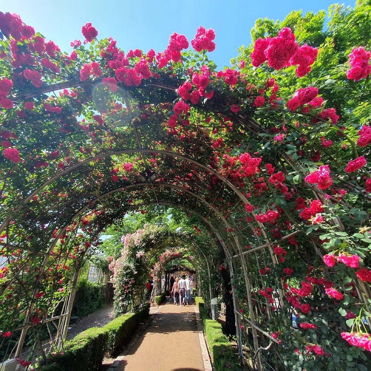 🏞️ 하뉴 수향 공원 이미지 7